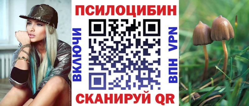Галлюциногенные грибы GOLDEN TEACHER  где продают   Среднеуральск 